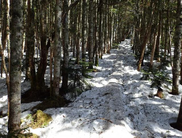 根石岳までの登山道、残雪の状況