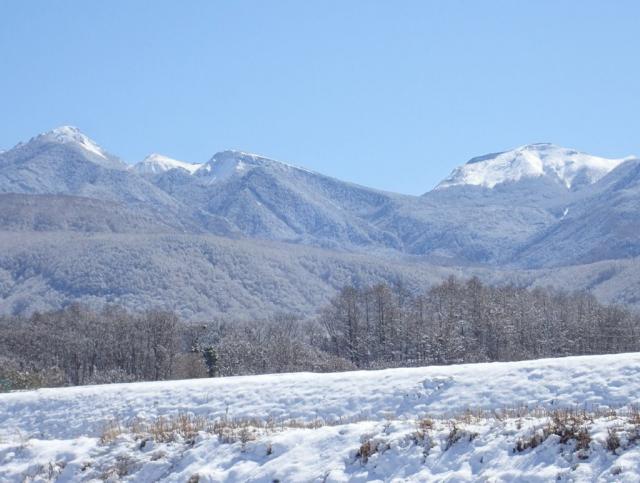 山麓から見た雪化粧の八ヶ岳