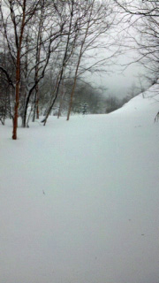 昨日からの積雪は50cm、膝上までラッセルでした 