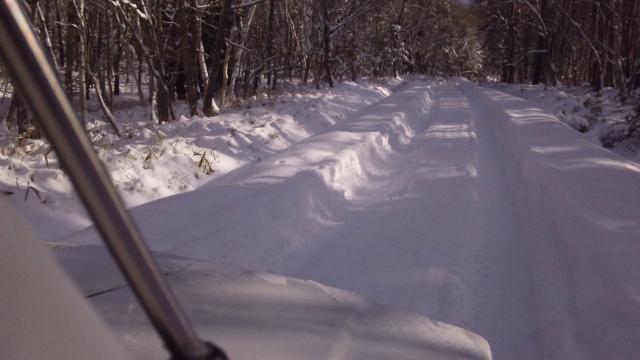 林道の積雪状況 