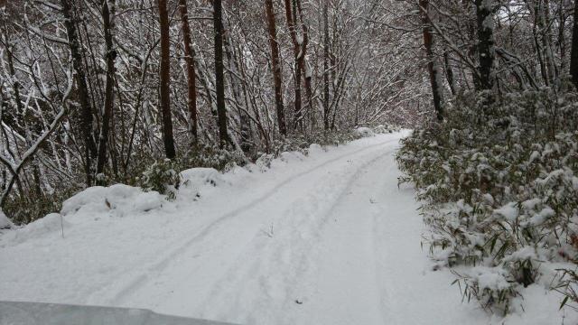 美濃戸口～赤岳山荘の積雪30cm強。