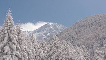 美しく白く雪をかぶった赤岳
