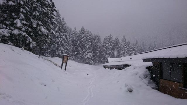 鉱泉周辺の雪も15cmほど降り積もりました。