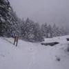 鉱泉周辺の雪も15cmほど降り積もりました。