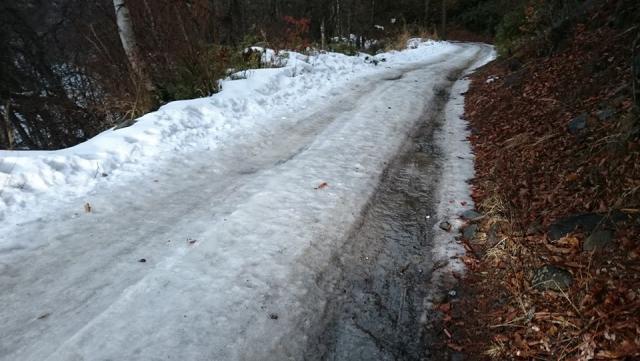 前日の雨でつるつるに凍結した林道　マイカーは要注意。徒歩の方もアイゼン必携。