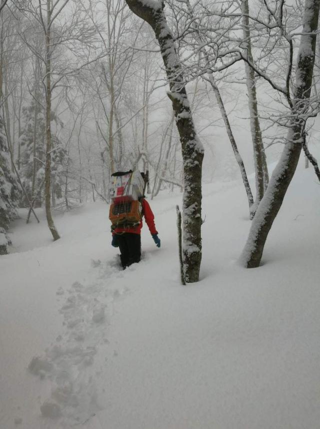 美濃戸口から北沢をラッセルで歩荷するスタッフ　春の大雪です。