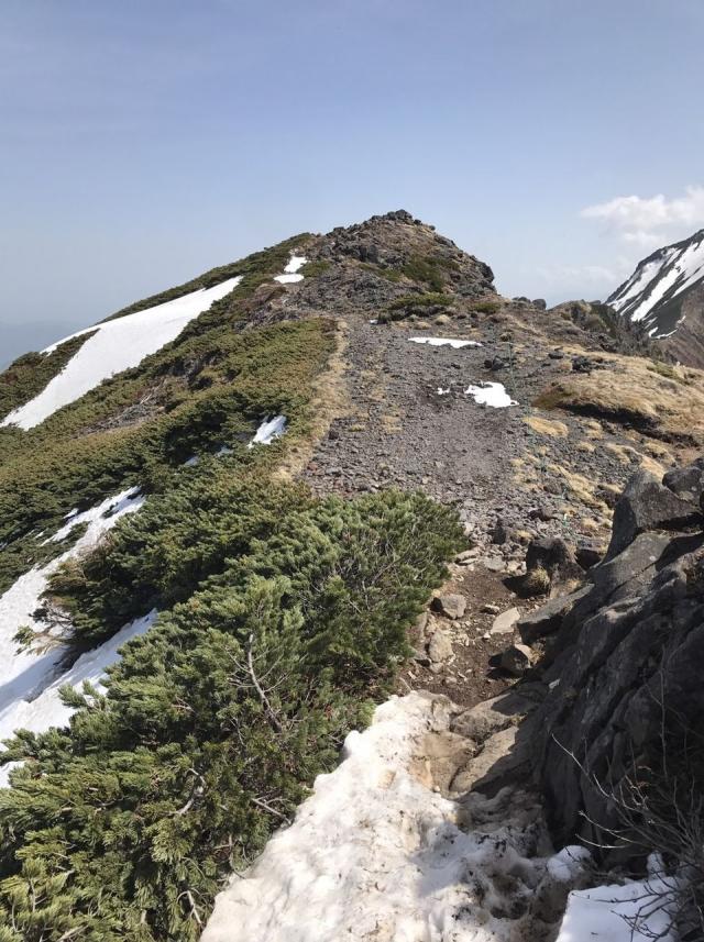 三叉峰～横岳～大ダルミ　9.5割の箇所で残雪が有りません。
