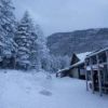 昨日から八ヶ岳鉢巻道路周辺から上で湿った雪が降りました！
ようやく冬の八ヶ岳らしい白銀の景色に。赤岳鉱泉では、累積の積雪が10cmとそれほど増えず。北沢登山道の積雪は5cm弱です。