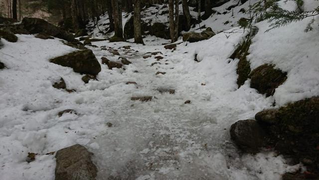 北沢登山道の凍結箇所