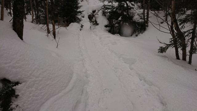 北沢登山道双子橋上の積雪状況