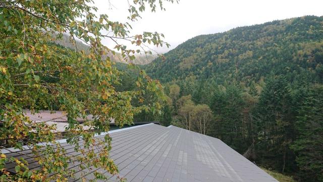 紅葉が始まりました。これから行者小屋～赤岳鉱泉～北沢登山道～美濃戸口と、約１ヶ月ぐらいかけて秋の季節が移り変わります。
