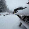 赤岳鉱泉周辺の積雪状況