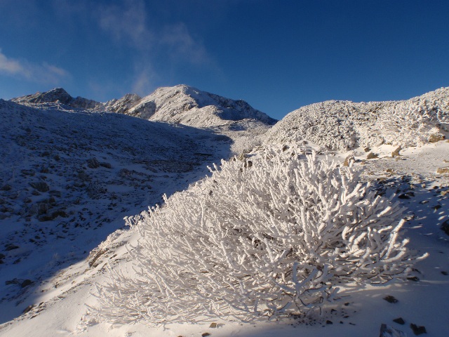 山荘周辺の積雪状況 