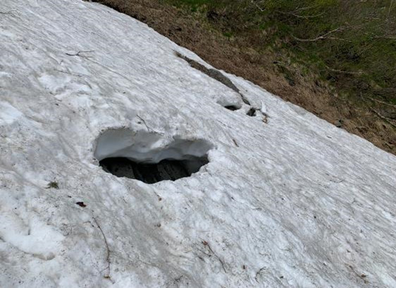 大樺沢上部の雪渓は、空洞があり踏み抜きに注意です