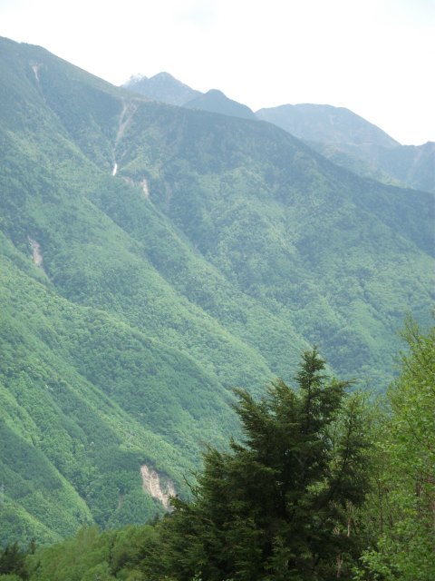 笊ケ岳（これは管理道路からなので、登山道からは見られません）