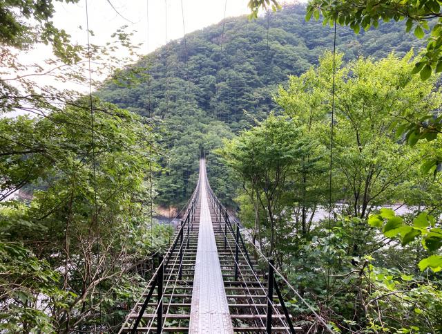 茶臼岳・光岳などへの登山口となっている畑薙大吊橋の様子