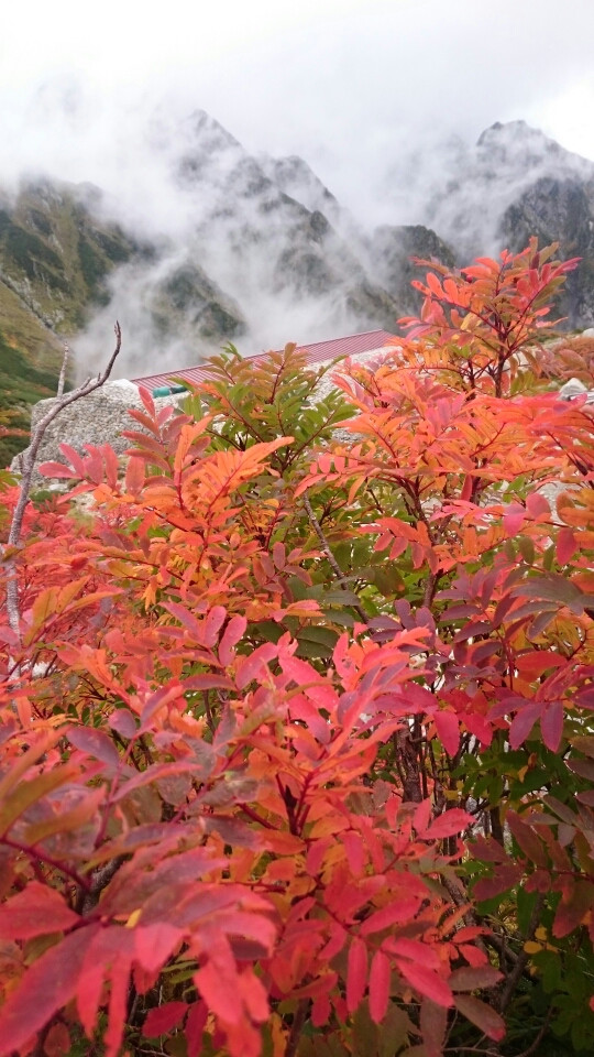 剱岳とナナカマドの紅葉と剱沢小屋