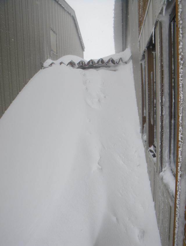 渡り廊下の屋根まで積もった雪