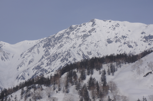 ヘリから見た白馬岳。左側に大雪渓が写っています。