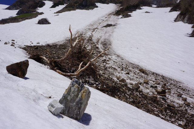 大雪渓は落石が目立ち始めてきていますので十分に注意して通行して下さい。