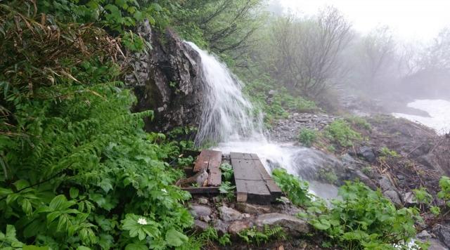 白馬尻小屋上の登山道の木道部も滝の状態です。