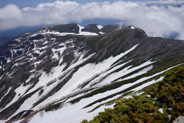 8-小蓮華山山頂からの景色。小蓮華山から見た白馬大池、まだ雪が豊富にあります。