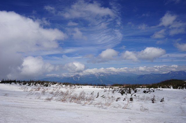 17-天狗原はまだ雪原といった風情で青空と流れ行く雲がよく似合います。