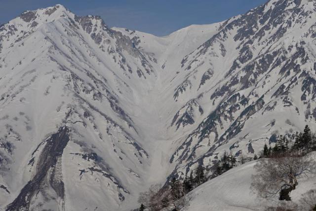 大雪渓を入山時ヘリコプター上から俯瞰して見るかぎりは、大規模な雪崩跡（デブリ）があり登山者はそれを避けて杓子側に迂回して下山していました。