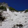 大雪渓は落石注意。葱っ平の夏道に取りつく手前の辺りが特に多く、写真のように木までが根こそぎはがれて落ちてきていました。