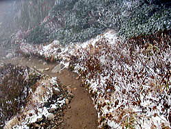 八方尾根上部登山道です。このあと雪は融けました。 