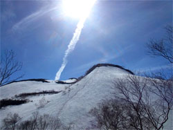 上の樺から丸山ケルンを方面を見上げています。雪の直登ルートです。