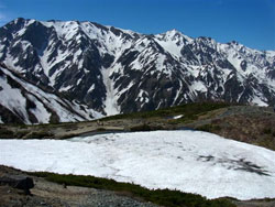 八方池と白馬三山の眺望です。抜けるような青空に残雪眩しい白馬連峰が間近に迫って見えます。　