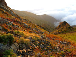 葉紅葉に染まる山肌。稜線から谷へと向かう秋の色。葉紅葉がゆっくりと下山を始めました。