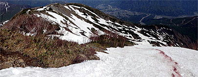 上の樺下部より撮影。撮影地点付近より南方向へ「下の樺尾根」が延びています。雪面状況等により印が消えている時は注意。雪解けに伴い登山道が変更になる場合もあります。