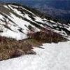 上の樺下部より撮影。撮影地点付近より南方向へ「下の樺尾根」が延びています。雪面状況等により印が消えている時は注意。雪解けに伴い登山道が変更になる場合もあります。