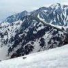 鹿島槍ヶ岳・五竜岳を背景に　雪斜面を歩くオス雷鳥。雪と岩のコントラストが引き立つ迫力の山岳景観です