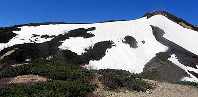 雪面にはルート印がついています。丸山の下方に広がる雪の斜面。