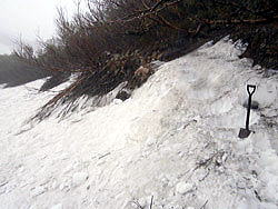 上の樺周辺～扇の雪渓下部周辺の雪渓ステップ切り作業を行いました。扇の雪渓上部～丸山の間：丸山の南東肩を目指して約80ｍ雪斜面を直登します。