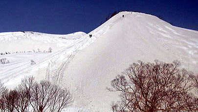 上の樺より直登ルートを見上げています 上の樺を抜けて、正面に見える急斜面ルートを登ります