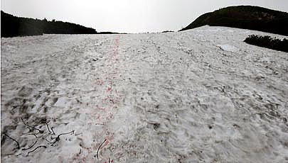 八方尾根　上の樺（かみのかんば）周辺　約１３０ｍの雪の斜面を直登します。直登の雪面にベンガラで赤いルート印をつけました。
