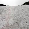 八方尾根　上の樺（かみのかんば）周辺　約１３０ｍの雪の斜面を直登します。直登の雪面にベンガラで赤いルート印をつけました。