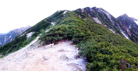 八方尾根　丸山上部登山道より　五竜岳～八方最上部～唐松岳です。