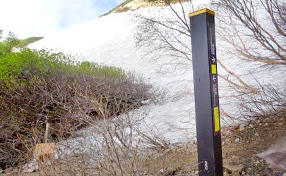 八方尾根「扇の雪渓経由ルート」　扇の雪渓と道標