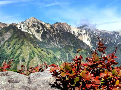 登山道沿いの植物は、日ごとに美しい秋の色へと変わってゆきます