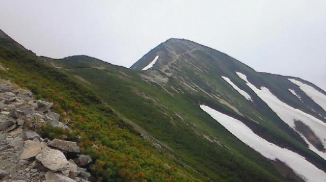 爺ヶ岳の主稜線登山道はほぼ夏道が出ています 