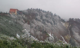 種池山荘の周りは霧氷の花咲く寒い一日 