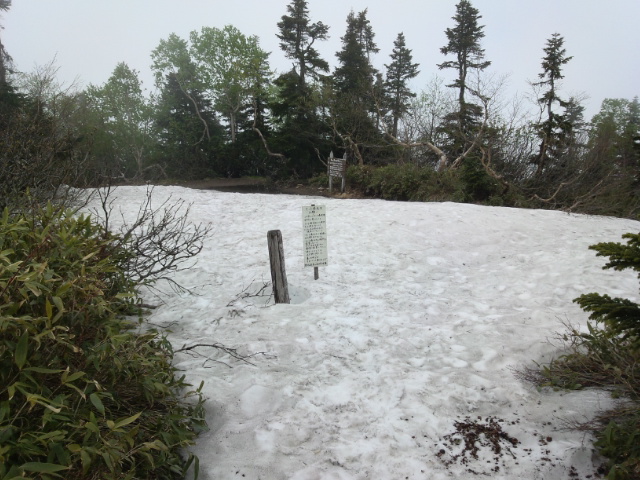 種池山荘のテント場は、まだ１ｍ以上の残雪t@ 
