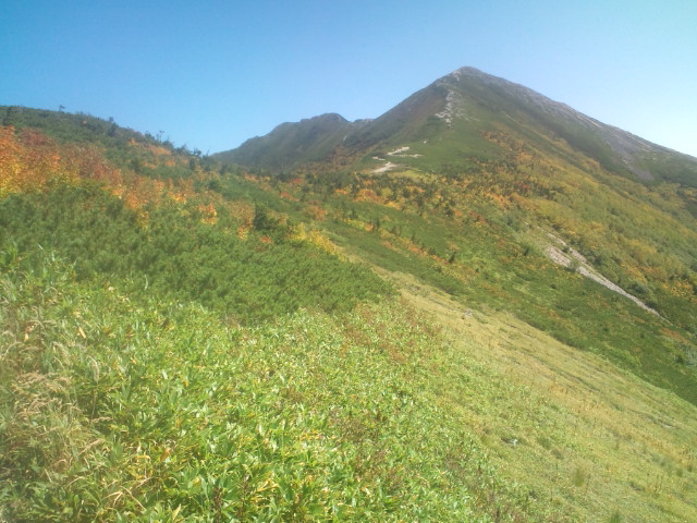 紅葉前線降臨！爺ヶ岳の南西斜面や西斜面は、目に見えて色付き始めました。