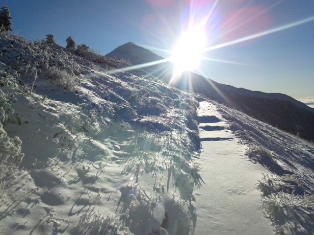 雪が止んだ朝、まだ新雪に足跡がない登山道、種池山荘より爺ヶ岳への道