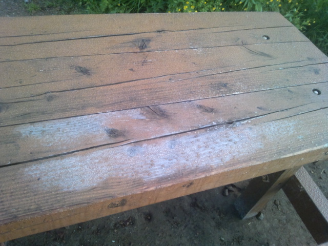 「初霜」　冷池山荘のベンチテーブルには、うっすらと霜が降りました。ベンチのまわりのミヤマキンポウゲたちも寒さにびっくりしたでしょうね。